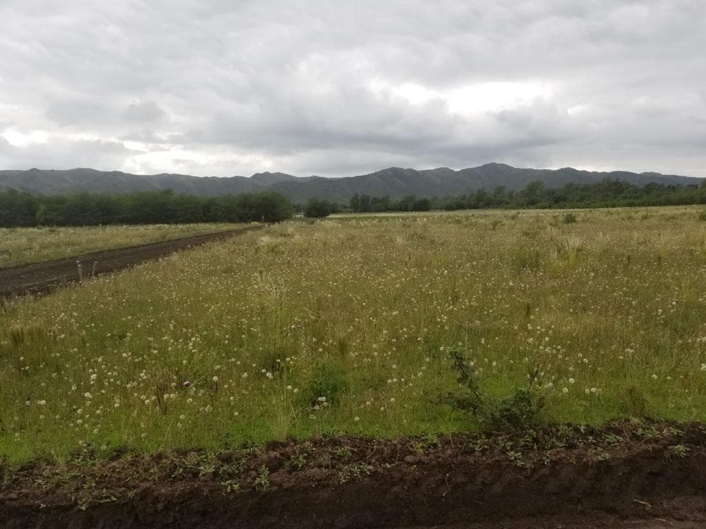 Terreno Lote en Venta ubicado en Calamuchita, Córdoba, Argentina - foto 1