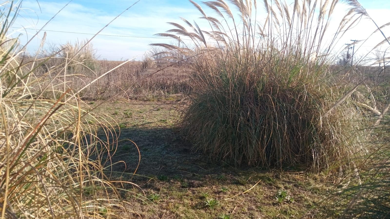 Terreno en Junin - foto 1